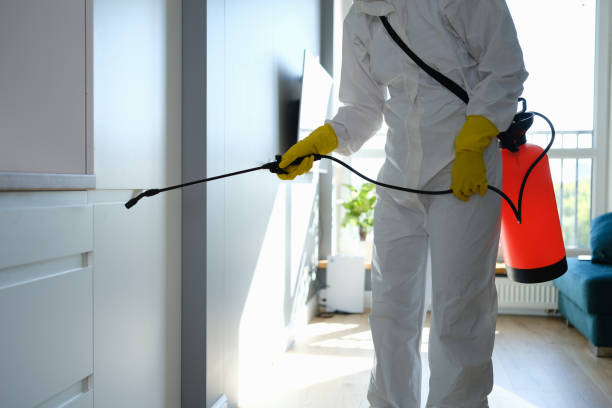 Best Affordable Mold Removal  in Cary, IL