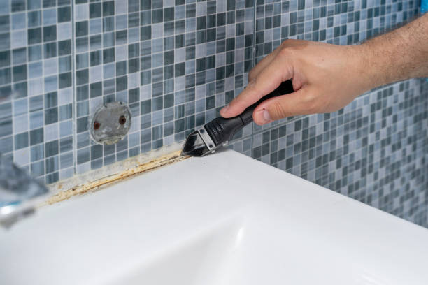 Best Black Mold Removal  in Cary, IL