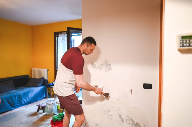Mold Removal and Inspection in Cary, IL