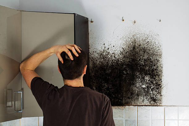 Best Crawl Space Mold Removal  in Cary, IL